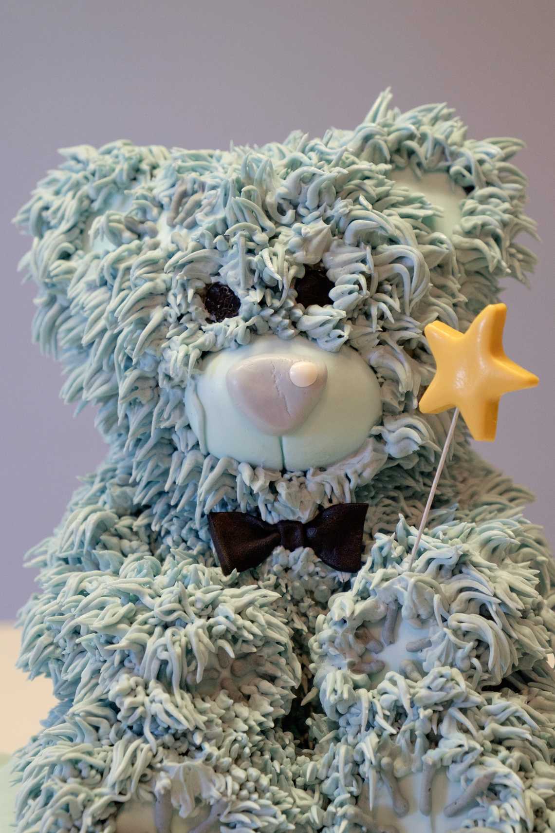 Gabriel's Bear Cake — August 20, 2016 Gabriel's Bear Cake — August 20, 2016