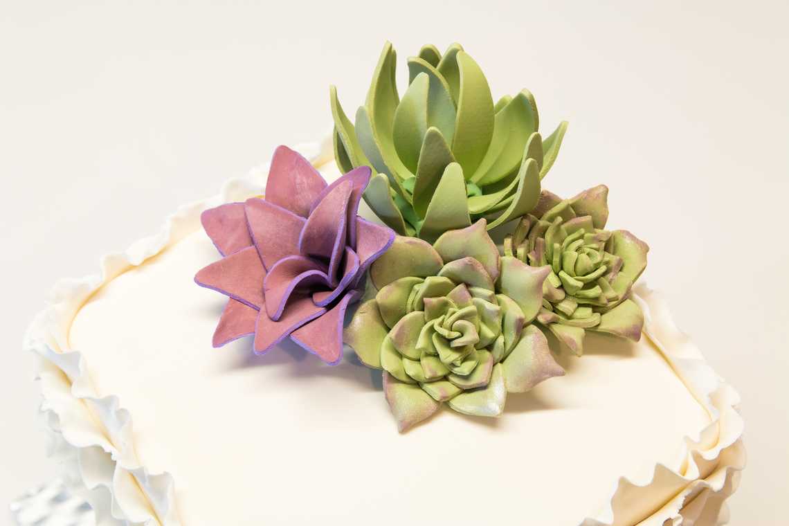 Close up on a Succulent Made with Fondant — February 5, 2016 Close up on a Succulent Made with Fondant — February 5, 2016