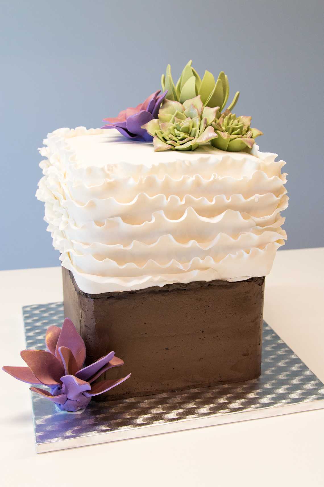 Succulents Cake — February 5, 2016 Succulents Cake — February 5, 2016